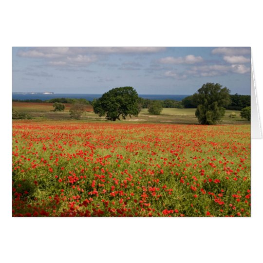 Klatschmohn Karte