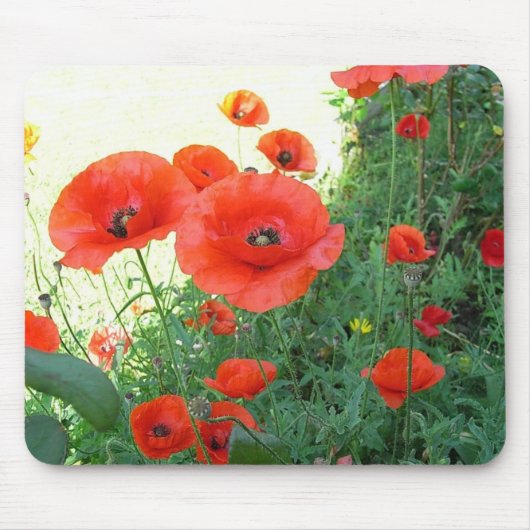 Klatschmohn Mousepad (Vorne)