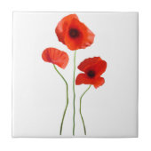 Klatschmohn - poppy fliese (Vorderseite)