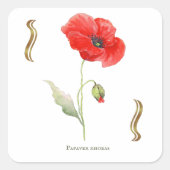 Klatschmohn Quadratischer Aufkleber (Vorderseite)