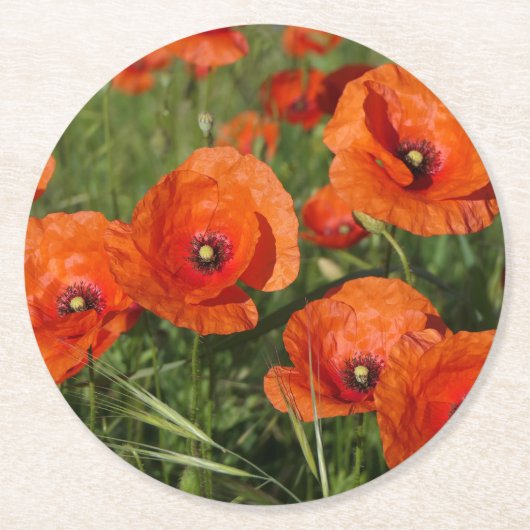 Klatschmohn runder pappuntersetzer (Vorderseite)