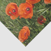 Klatschmohn Seidenpapier (Ausschnitt)