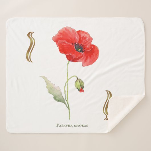 Klatschmohn Sherpadecke (Vorderseite (Horizontal))