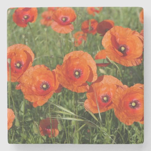 Klatschmohn steinuntersetzer (Vorderseite)