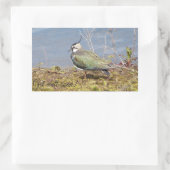 Klatschweibchen Rechteckiger Aufkleber (Tasche)