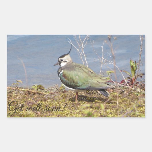 Klatschweibchen Rechteckiger Aufkleber (Vorderseite)