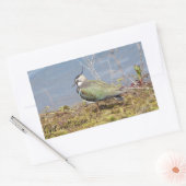 Klatschweibchen Rechteckiger Aufkleber (Umschlag)