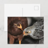 Klatschzeit Postkarte (Vorne/Hinten)