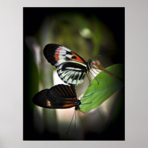 Klavier-Schlüssel-Paarung Poster