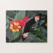 Klavier-Schlüsselschmetterlings-Puzzlespiel Puzzle (Horizontal)