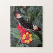 Klavier-Schlüsselschmetterlings-Puzzlespiel