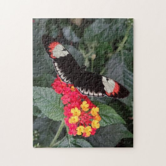 Klavier-Schlüsselschmetterlings-Puzzlespiel Puzzle (Vertikal)