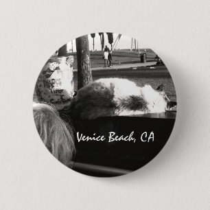 Klavierkatze Venice Beach Kalifornien Fotografie Button