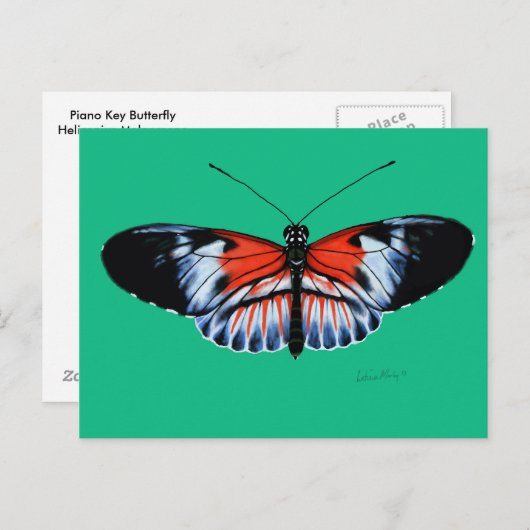 Klaviertasten Schmetterlingsgemälde mit schwarzen, Postkarte (Vorne/Hinten)