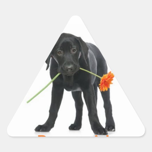 klebe Hund/Blume Dreieckiger Aufkleber (Vorderseite)