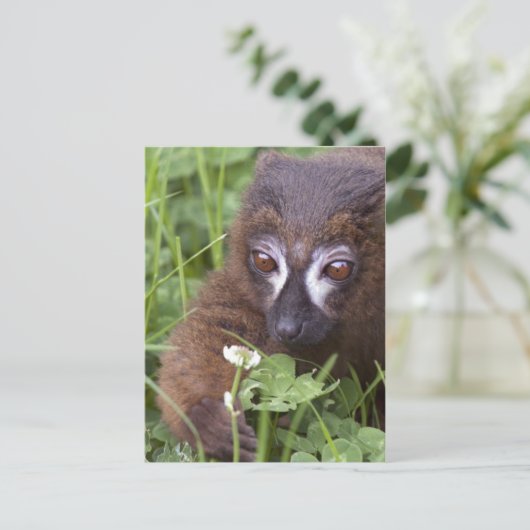 Kleben der Postkarte (Stehend Vorderseite)