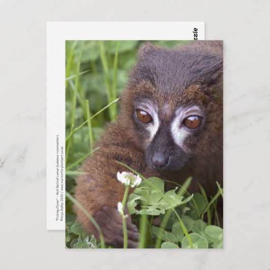 Kleben der Postkarte (Vorne/Hinten)