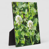Kleben und Blume Fotoplatte (Seite)