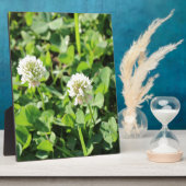 Kleben und Blume Fotoplatte (Seite)