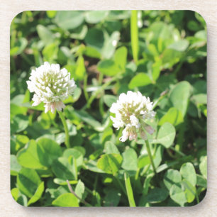 Kleben und Blume Getränkeuntersetzer