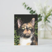 Kleber des Calico Postkarte (Stehend Vorderseite)