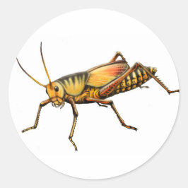 Kleber Runder Aufkleber