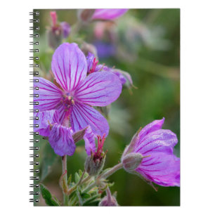 Klebrige Storchschnabel-Wildblumen Notizblock