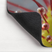 Klebriges Sundew Tentakeln mousepad (Ecke)