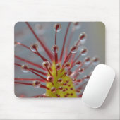 Klebriges Sundew Tentakeln mousepad (Mit Mouse)