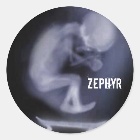 klebstoff Zephyr Skateboard Runder Aufkleber (Vorderseite)