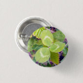 Klee 1 button (Vorne & Hinten)