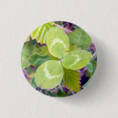 Klee 1 button (Vorderseite)