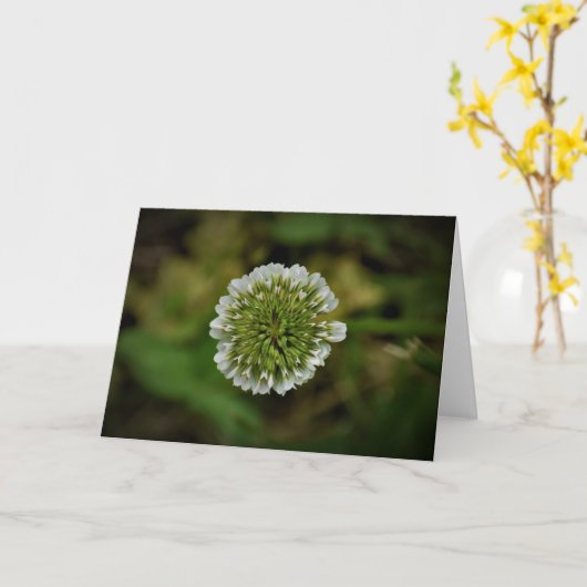 Klee, Karte (Gelbe Blume)