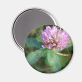 Klee Magnet (Vorderseite/Rückseite)