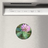 Klee Magnet (In Situ (Geschirrspüler))