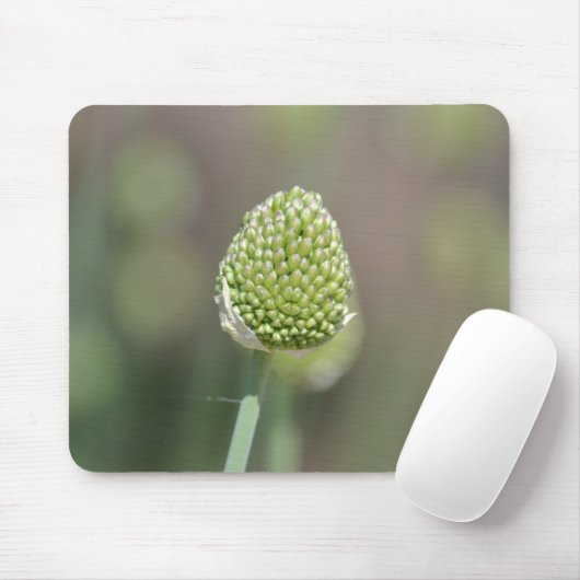 Klee Mousepad (Mit Mouse)