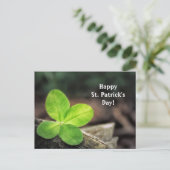 Kleeblatt 2 St. Patrick's Day Postcard Postkarte (Stehend Vorderseite)