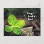 Kleeblatt 2 St. Patrick's Day Postcard Postkarte (Vorderseite)