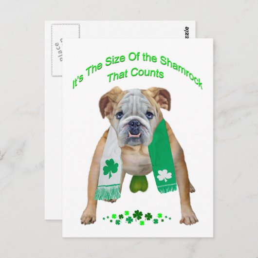 Kleeblatt Bulldog St. Patrick's Day Postkarte (Vorne/Hinten)