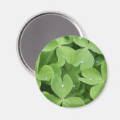 Kleeblatt Clover Blätter Magnet (Vorderseite/Rückseite)