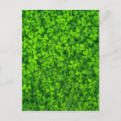 Kleeblatt Clovers Green Irish Symbol Irland Postkarte (Vorderseite)