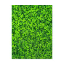 Kleeblatt Clovers Green Irish Symbol Irland
