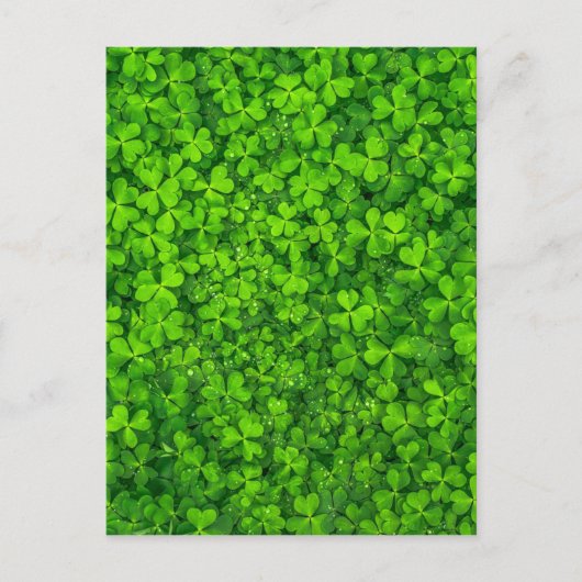 Kleeblatt Clovers Green Irish Symbol Irland Postkarte (Vorderseite)