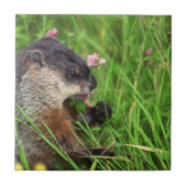 Kleeblatt Fliese (Vorderseite)