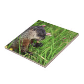 Kleeblatt Fliese (Seite)