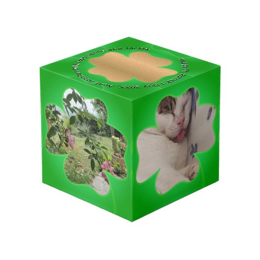 Kleeblatt Frame 5 Fotos Würfel (Rückseite Schrägansicht)