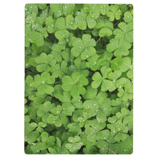 Kleeblatt-Grünfläche Klemmbrett (Rückseite)