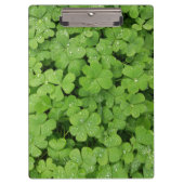 Kleeblatt-Grünfläche Klemmbrett (Vorderseite)