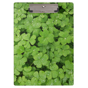 Kleeblatt-Grünfläche Klemmbrett