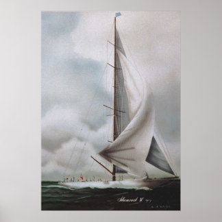 KLEEBLATT IV POSTER